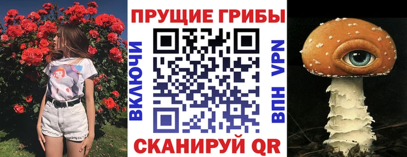 Галлюциногенные грибы Cubensis Серафимович
