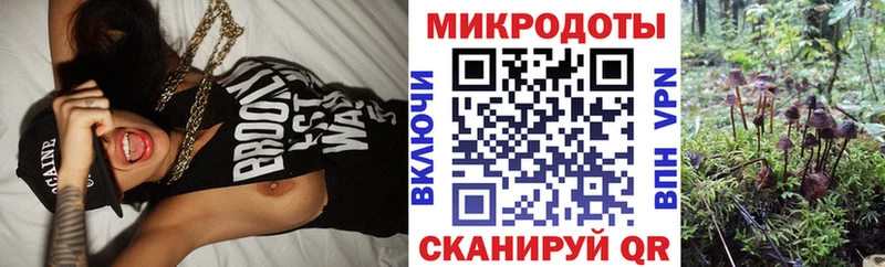 Псилоцибиновые грибы MAGIC MUSHROOMS  Купить закладки  Серафимович 